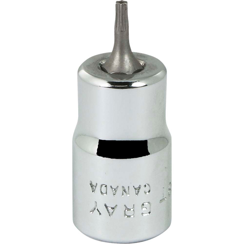 Douille &agrave; embout, Torx, T8 x 2-1/8" lo, Prise 3/8" Equipex