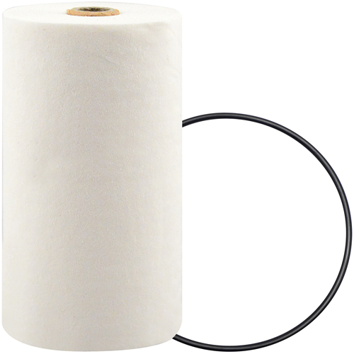 P7247 Spin-On Coolant Filter with BTE Formula Equipex