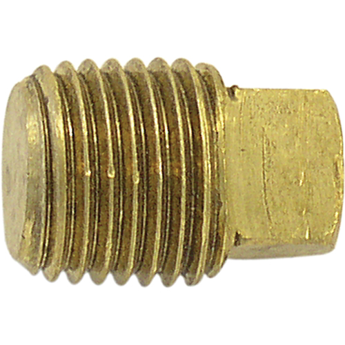Pipe Plugs (Square Head), 1" Dia., Brass Equipex
