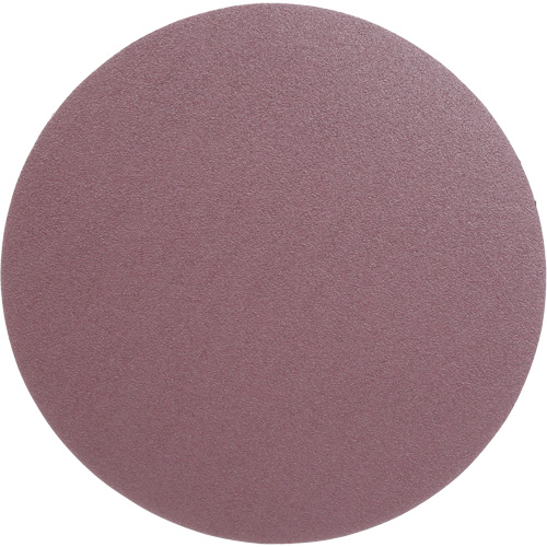 PSA Cloth Disc 348D, 12" Dia., 60 Grit, Aluminum Oxide, X-Weight Equipex