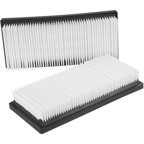 Main Flat Filters, Cartridge, Fits 12 US gal. Equipex