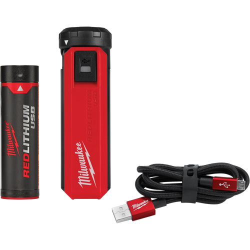Redlithium USB Charger & Power Source Kit, 4 V, Lithium-Ion Equipex