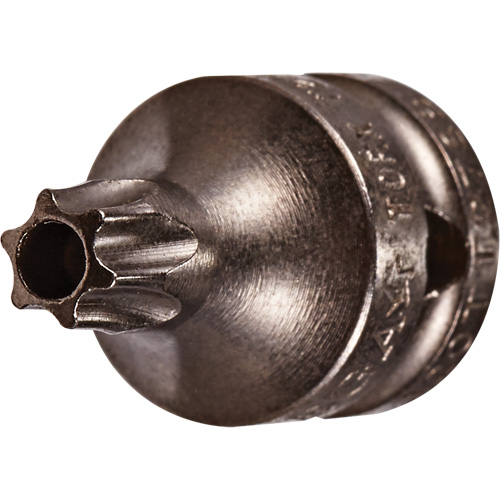 Embout &agrave; ins&eacute;rer, Torx inviolable, 8 x 3/4" lo, Prise 1/4" Equipex