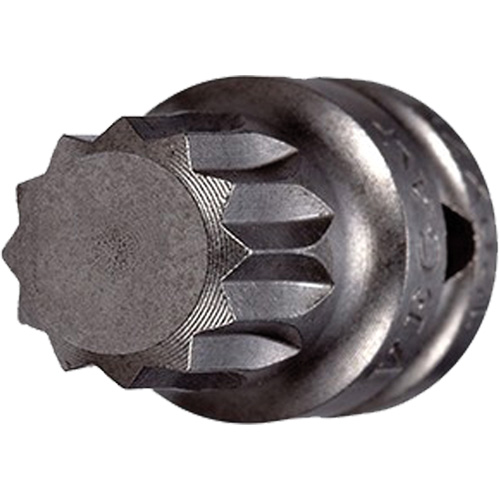 Embout &agrave; ins&eacute;rer, Triple carr&eacute;, 5 x 3/4" lo, Prise 1/4" Equipex