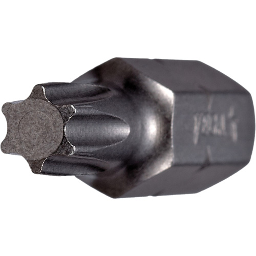 Insert Bit, Torx, 5, 1/4" Drive Equipex