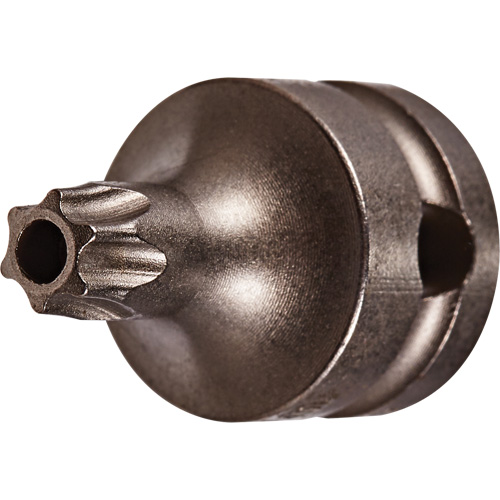 Embout &agrave; ins&eacute;rer, Torx inviolable, 25 x 1" lo, Prise 3/8" Equipex