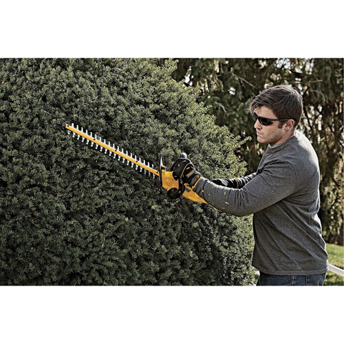 Taille-haie sans fil Max, 22", 20 V, &agrave; pile Equipex