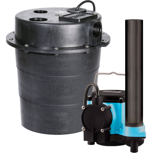 Pompe imerg&eacute;e s&eacute;rie WRS, 45 gal./min, 115 V, 9 A, 1/3 CV Equipex