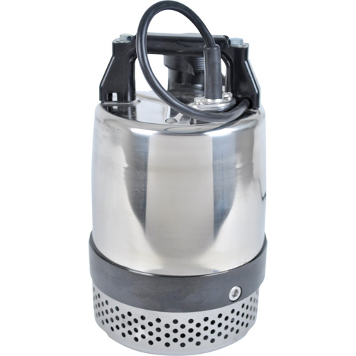 Pompe utilitaire s&eacute;rie FLS/FS, 1 CV, 80 gal./min, 115 V, 10 A Equipex