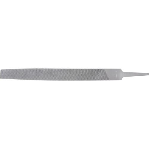Lime, Demi-ronde, 8" l, Coupe B&acirc;tarde Equipex