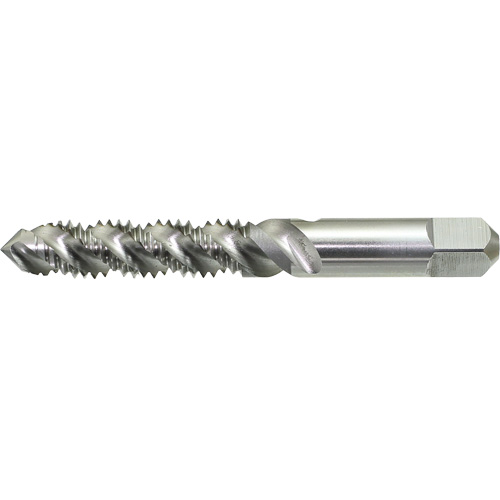 DRILLCO Spiral Flute Hand Tap, High Speed Steel, 1/4"-20 Thread Equipex