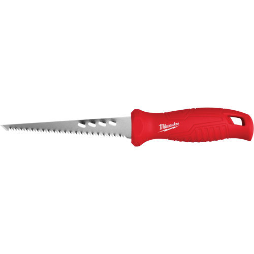 Rasping Jab Saw Equipex