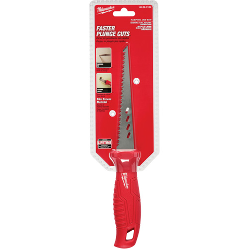 Rasping Jab Saw Equipex