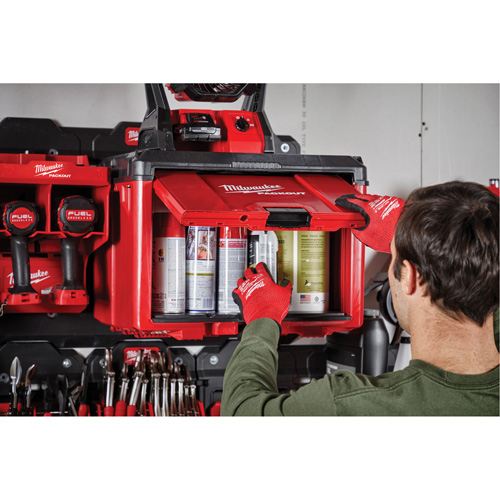 Armoire &agrave; outils Packout, 15" x 15" x 20", Noir/Rouge Equipex