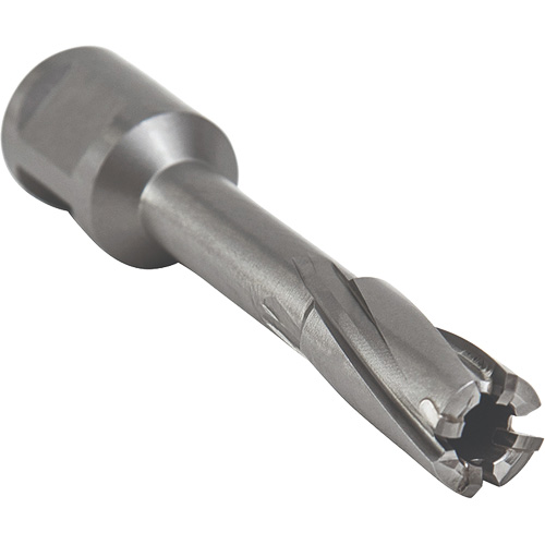 Core Cut Annular Cutter with Weldon Shank, 12 mm Diameter, Carbide, 55 mm Depth of Cut, 3/4" Shank Equipex