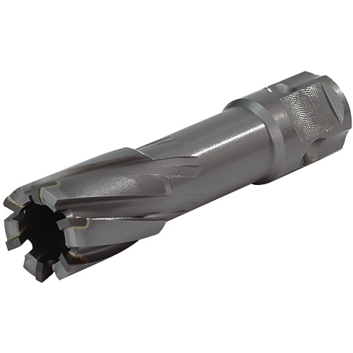 Universal Shank Annular Cutter, 1/2" Diameter, Carbide, 2" Depth of Cut, 3/4" Shank Equipex