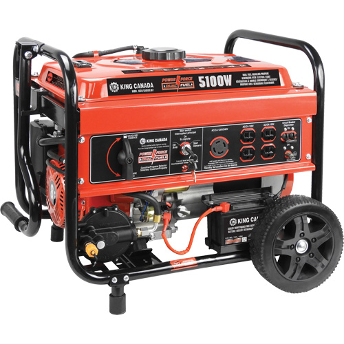 G&eacute;n&eacute;ratrice &agrave; essence/au propane &agrave; d&eacute;marreur &eacute;lectrique Equipex