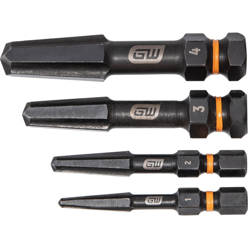 Jeu d'extracteur de vis Bolt Biter, Acier rapide, 4 Morceaux Equipex