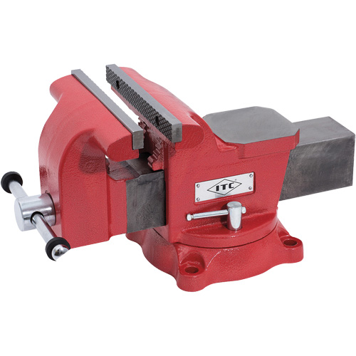 &eacute;tau de m&eacute;canicien, Largeur des m&acirc;choires 8", Profondeur de la gorge 3-1/2" Equipex