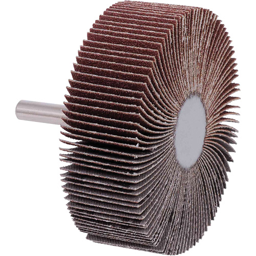 Disques &agrave; lamelles, Grain 40, 3" x 1" Equipex