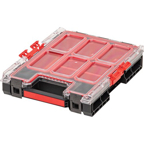Arx Medium Organizer with Bins, 10-3/10" x 14-3/10" x 3", Black Equipex