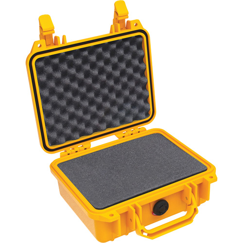 1200 Protector Case with Foam Equipex