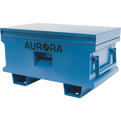Coffre &agrave; outils de chantier, 33" x 20-3/10" x 18-3/10", Acier, Bleu Equipex