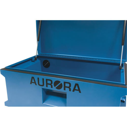 Coffre &agrave; outils de chantier, 33" x 20-3/10" x 18-3/10", Acier, Bleu Equipex