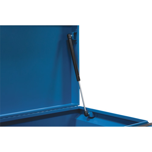 Coffre &agrave; outils de chantier, 33" x 20-3/10" x 18-3/10", Acier, Bleu Equipex