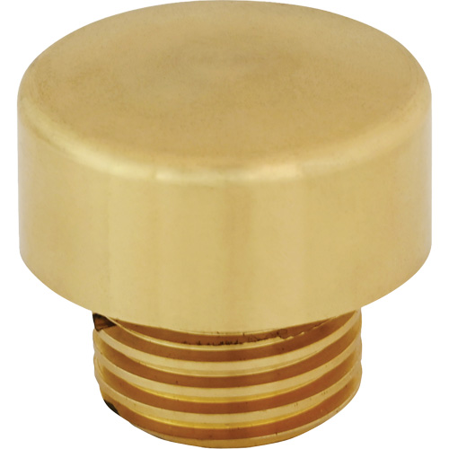 Replacment Hammer Tip for Dead Blow Hammer Equipex