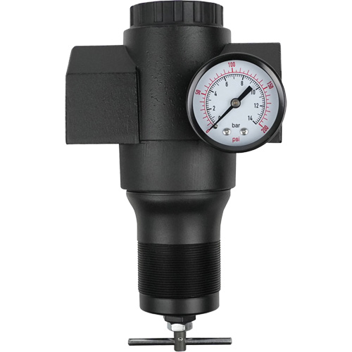 R&eacute;gulateur en aluminium, 1-1/2" NPT, PSI max. de 300 psi, Canalisation Equipex