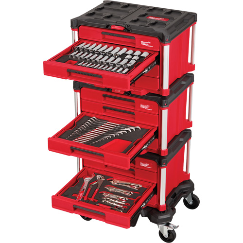 366-Piece Master Mechanics Hand Tool Set with PACKOUT Drawers & Dolly, 16-3/10" x 22-1/5" x 48-5/8", Black/Red Equipex