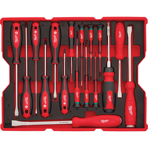 Screwdriver & Pry Bar Set with Tray for PACKOUT Drawers, 17, Magnetic Equipex