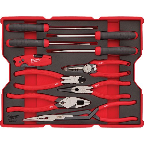 Pliers & Pick Set with Tray for PACKOUT Drawers Equipex