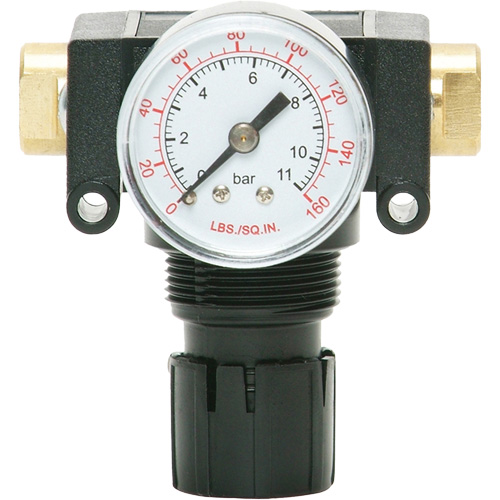 MODULAIR 200 Acetal Piston Regulator, 1/4" NPT, 150 PSI Max. PSI, In Line/Modular Equipex