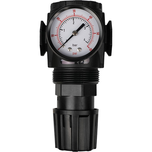 MODULAIR 300 Compressed Air Regulator, 1/2" NPT, 300 psi Max. PSI, In Line/Modular Equipex
