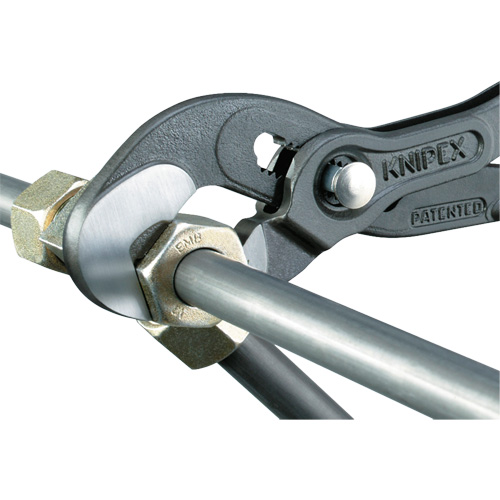 Pince Raptor, 10" Equipex