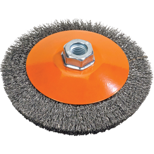 Brosse soucoupe &agrave; fils nou&eacute;s torsad&eacute;s, Dia. 5", Fils 0,02", Arbre 5/8"-11, Acier Equipex
