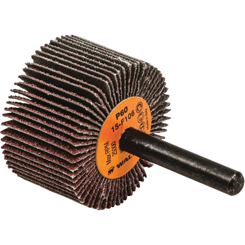 Disques &agrave; lamelles - Meules &agrave; lamelles Coolcut, Oxyde d'aluminium, Grain 60, 1-1/2" x 1" x 1/4" Equipex