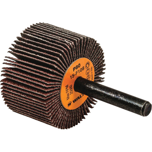 Disques &agrave; lamelles - Meules &agrave; lamelles Coolcut, Oxyde d'aluminium, Grain 80, 1-1/2" x 1" x 1/4" Equipex