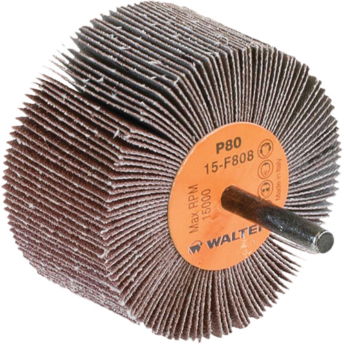 Disques &agrave; lamelles - Meules &agrave; lamelles Coolcut, Oxyde d'aluminium, Grain 80, 3" x 1-1/2" x 1/4" Equipex