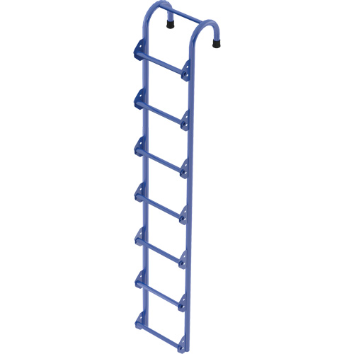 Tank Access Ladder Equipex