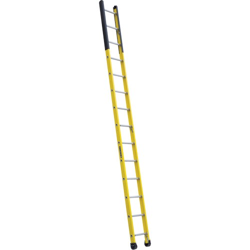 &eacute;chelle &eacute;troite pour trou d'homme, 14', Fibre de verre, 375 lb, CSA calibre 1AA Equipex