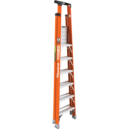Safespace Platform Step Ladder, 6', 300 lbs. Cap. Equipex