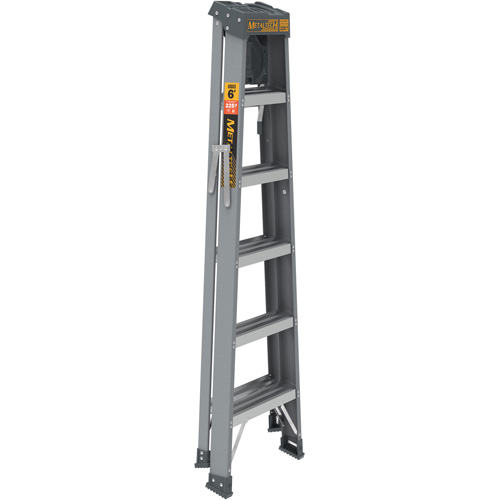Step Ladder with Paint Tray, 6', Fibreglass, 225 lbs. Capacity, Type 2 Equipex