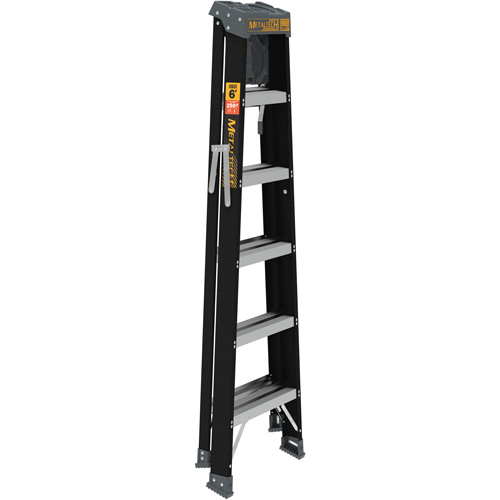 Step Ladder with Paint Tray, 6', Fibreglass, 250 lbs. Capacity, Type 1 Equipex