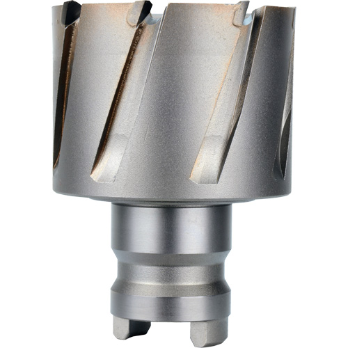 Fraise avec tenon &agrave; changement rapide Drive Hawg, Diam&egrave;tre de 2", Acier, Profondeur de la coupe de 1" Equipex