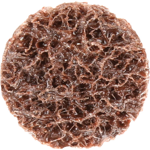 Disque de conditionnement de surface &agrave; remplacement rapide Standard Abrasives, 3/4" dia., Grain Cors&eacute;, Oxyde d'aluminium Equipex