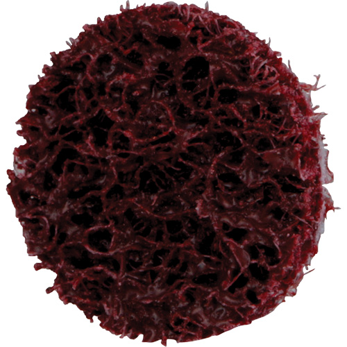 Disque de conditionnement de surface &agrave; remplacement rapide Standard Abrasives, 3/4" dia., Grain Moyen, Oxyde d'aluminium Equipex