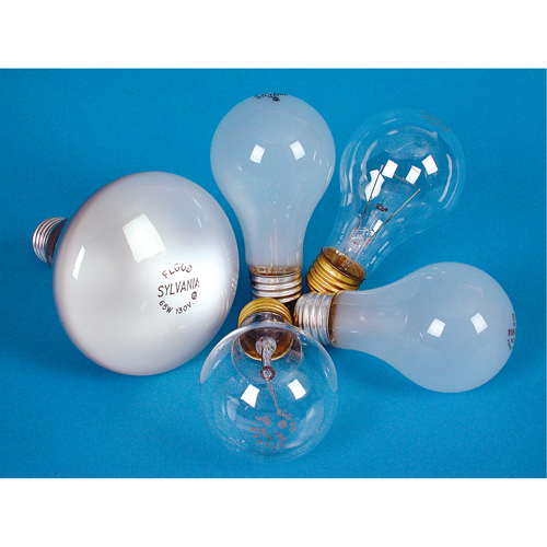 LAMPE INCANDESCENTE,25W,130V,GIVREE,2/PQT Equipex
